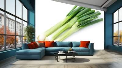 leek vegetable on white background Wall mural