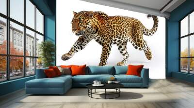 leopard on white background Wall mural