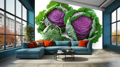 pink cabbage on white background Wall mural