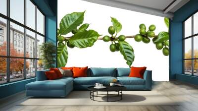 Coffee tree branch with green leaves Wall mural