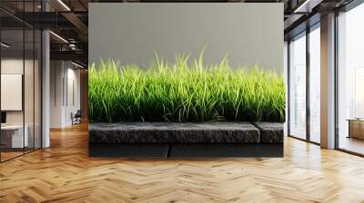 Green Grass Patch on Black Background Wall mural