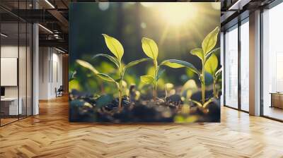 New Life and Growth Emerging in Sunlight Wall mural