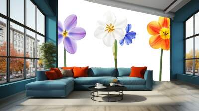 Spring Flowers Bouquet Wall mural