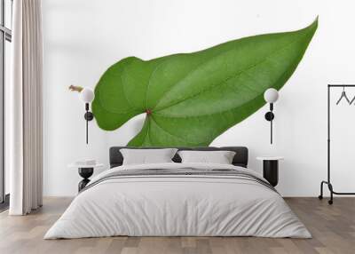 Chinese yam leaf Wall mural