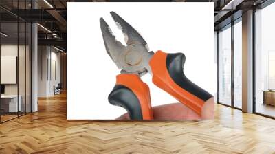 Pliers Wall mural