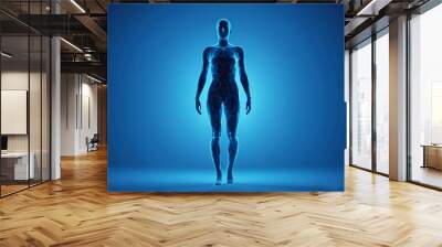 Digital human body. Polygonal wireframe silhouette. on blue background. Technology futuristic man or woman 3d model Wall mural