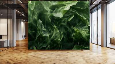 Fresh green spinach leaves on a natural background. Top view of fresh organic spinach leaves. Healthy green food and vegan background. Wall mural