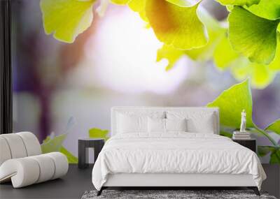 ginkgo biloba tree branch against lush green background Wall mural