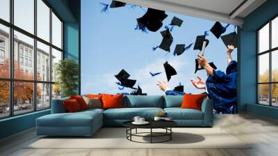 graduation Wall mural