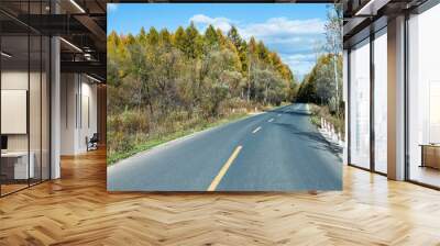 Scenic road through autumn trees Wall mural