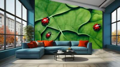 red lady bug on the green leaves with its red and black fur 
green abstract background with green trees and sunshine  Wall mural