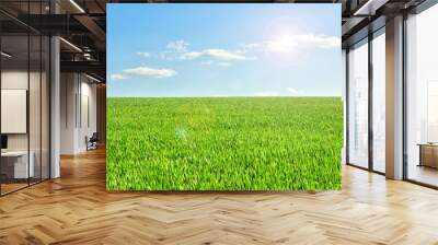 Sun in blue sky and green field of wheat Wall mural