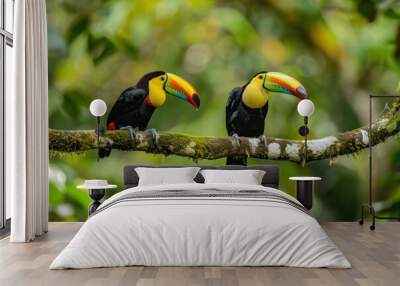 Two toucans on a branch in a lush green forest Wall mural