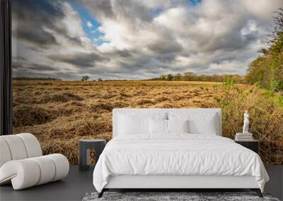 Arable field in the countryside of rural Norfolk Wall mural