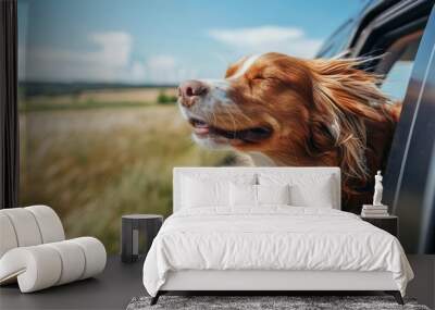 Dog Enjoying The Wind In A Car Window.
A happy dog with its head out of a car window enjoys the wind. Wall mural