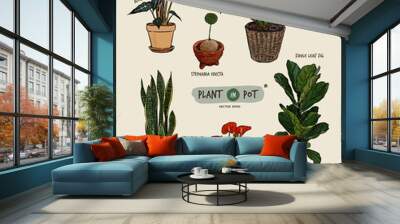 Plant in pots, hand draw sketch vector. Wall mural