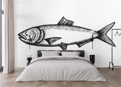 anchovy fish sketch. vector illustration Wall mural