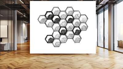 Bee honeycomb hand drawing vector illustration Wall mural