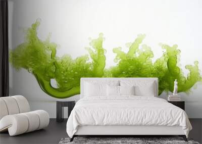 green algae isolated. Wall mural