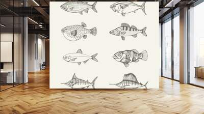 sea fish set. drawings Wall mural