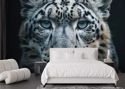 snow leopard. Wall mural