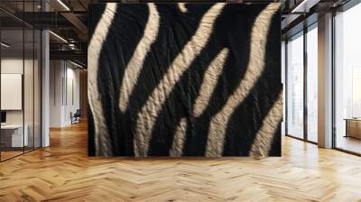 zebra background texture. Wall mural