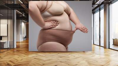 Close up of fat female in big size underwear Wall mural