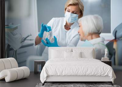 Female dentist and adult lady in a dentist office Wall mural