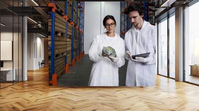 Focused warehouse employees examining broccoli wrapped in cling film Wall mural