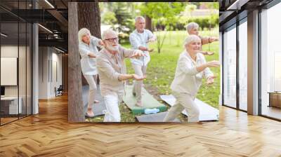 Smiling senior people doing qigong exercise outdoors Wall mural