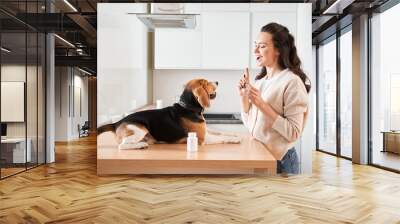 Woman suggesting her dog to eating a vitamin before meals Wall mural