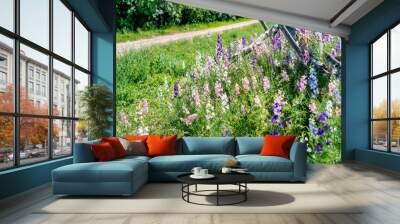 Beautifu violet Delphinium flowers bloming in the country Wall mural