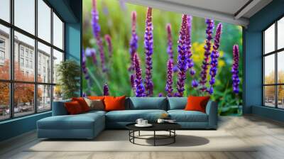 Fresh purple flowers of sage or Salvia divinorum Wall mural