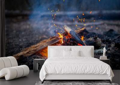 Campfire with sparks in forest outdoor camping Wall mural