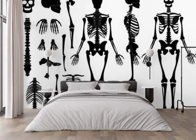 human anatomy Wall mural