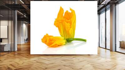 fresh and healthy zucchini flower on white background Wall mural