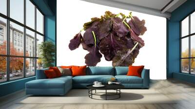 freshly harvested red mustard leaves on a white background Wall mural