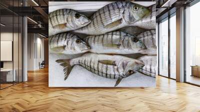 Steenbras fish displayed in a crate filled with ice at the fish market Wall mural