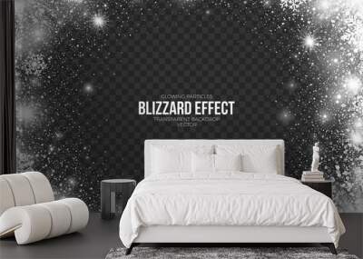 Snow Blizzard Effect on Transparent Background Vector Illustration. Abstract bright white shimmer glowing scatter falling round particles, lights and snowflakes Wall mural