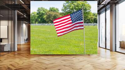 Memorial day Wall mural