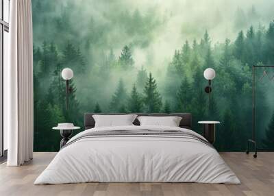 A forest with trees covered in mist Wall mural