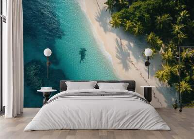 Aerial view of a tranquil tropical island beach with palm trees lining the shore and crystal-clear turquoise waters under a sunny sky Wall mural