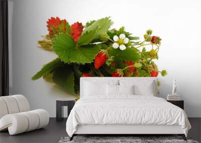 Bunch of wild strawberries with leaves, berries and flowers isolated on white background         Wall mural