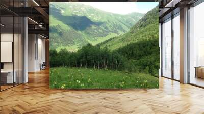 green, mountain, landscape, nature, sky, caucasus, russia Wall mural