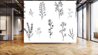 Plants without filling on a white background. Flowers and branches in the doodle style are hand-drawn. The outline of thin branches and twigs. Vector illustration. Isolated objects. Wall mural