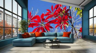 Red tree Wall mural