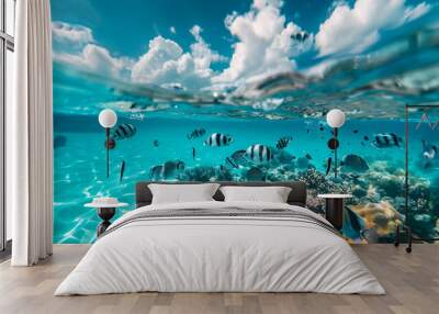 underwater view of a coral reef with many colorful fish swimming in blue clear water. scuba diving. snorkeling. summer rest Wall mural