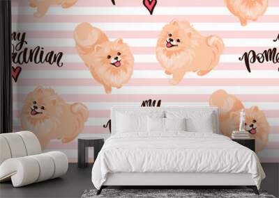 Pomeranian Spitz puppy isolated on white background. Wall mural