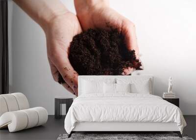 Soil in woman arms against white background close-up. Two hands holding a handful of ground soil. World soil day concept Wall mural