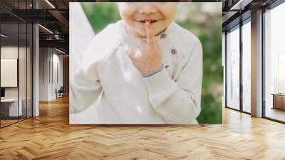 Outdoor portrait of happy boy lying on wooden bridge and looking at camera with smiling face,Active child having fun playing in wildlife park,Kid having adventure in nature reserve in sunny day summer Wall mural